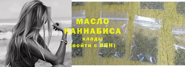 твердый Дмитровск
