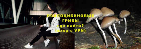 MDMA Дмитриев