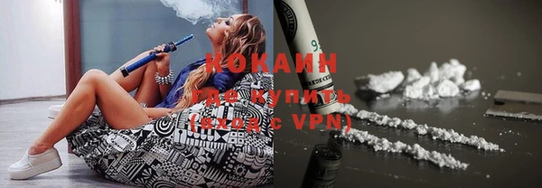 твердый Дмитровск