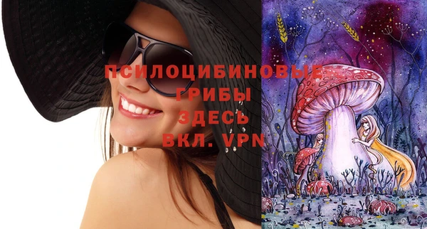 MDMA Дмитриев
