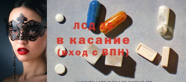 твердый Дмитровск