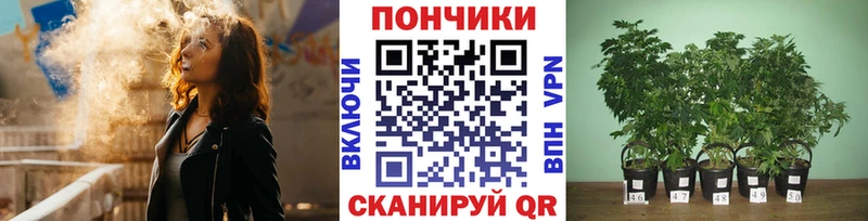 Бошки Шишки SATIVA & INDICA Брюховецкая